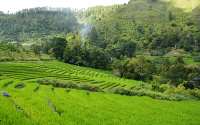 Ketahanan Pangan Masyarakat Kawah Gunung Berapi Caldera Toba