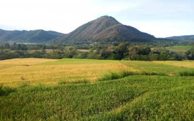 Pesona Dolok Tolong Yang Terabaikan