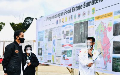Kedatangan Presiden RI Jokowi Widodo, Meninjau Food Estate di Kabupaten Humbang Hasundutan
