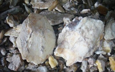 Petani Toba Lestarikan Pertanian Kemenyan Si Penghasil Getah Wangi Dan Mahal