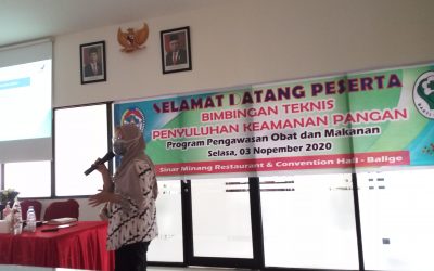 Dinkes Toba, Menggelar Bimbingan Teknis Penyuluhan Keamanan Pangan Bagi 30 Pelaku Industri Rumah Tangga