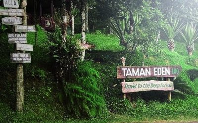 Taman Eden 100, Salah Satu Konsep Wisata Hutan Buatan Di Kawasan Danau Toba