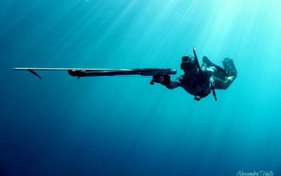 Sensasi Aktivitas Spearfishing Di Danau Toba