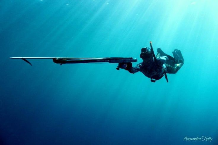Sensasi Aktivitas Spearfishing Di Danau Toba