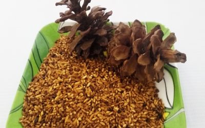 Kopi Beras, Solusi Sehat Bagi Pecandu Kopi Yang Takut Kafein