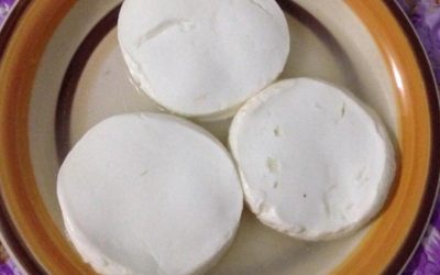 Berbagai Olahan Nikmat Dari Susu Kerbau Segar
