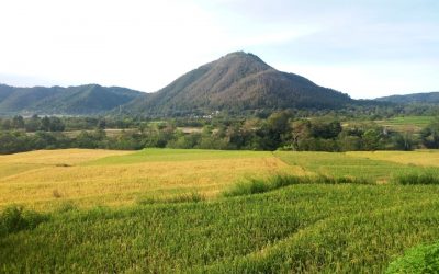 Keragaman Pertanian Sebagai Mata Pencaharian Utama Di Kawasan Danau Toba