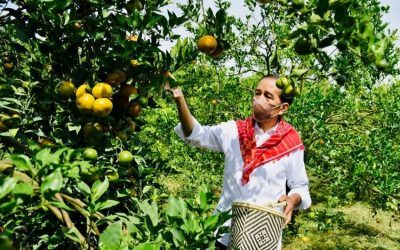 Jokowi Tinjau Kampung Jeruk di Karo