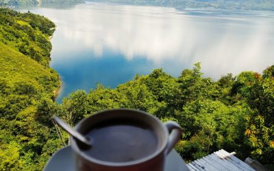 Menyesap Kopi Lintong Yang Mendunia