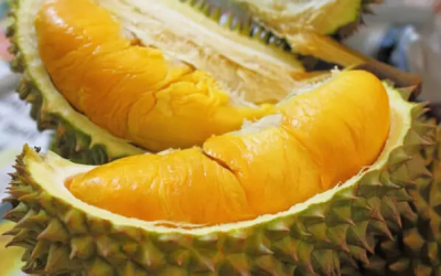 Komoditas Andalan, Lezatnya 3 Buah Khas Sumut Yang Wajib Dicoba