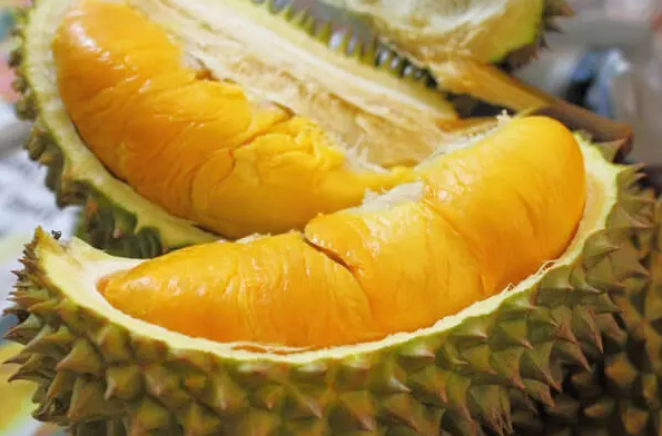 Komoditas Andalan, Lezatnya 3 Buah Khas Sumut Yang Wajib Dicoba