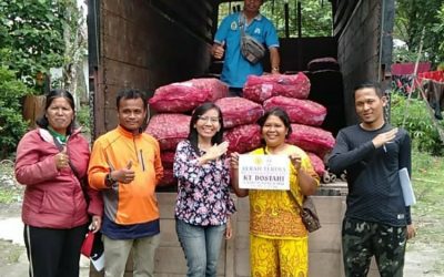 Pemkab Samosir Canangkan Kampung Bawang Merah Berbasis Organik