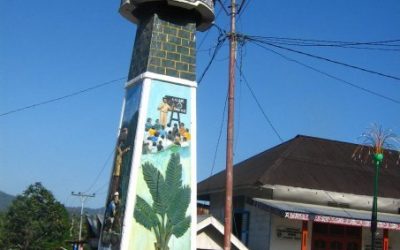 “Salak Pakkat”, Salak Dengan Rasa Eksotis Dari Humbahas