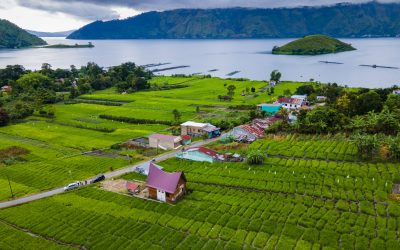 Sihali Aek: Kearifan Leluhur Batak dalam Mengelola Air dan Pertanian